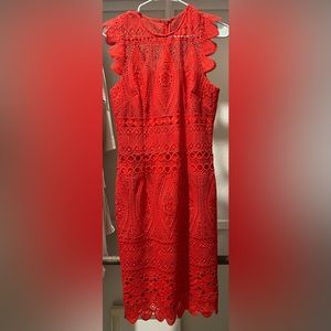 Gorgeous red lace Antonio melani dress